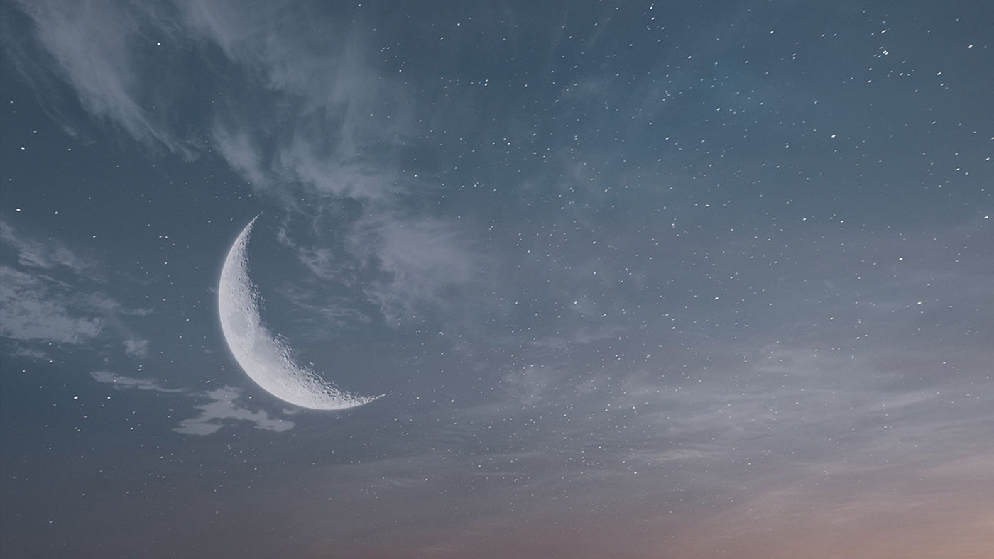 Insomnium - Argent Moon Pre-order