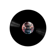 Dayshell - Pegasus 12”