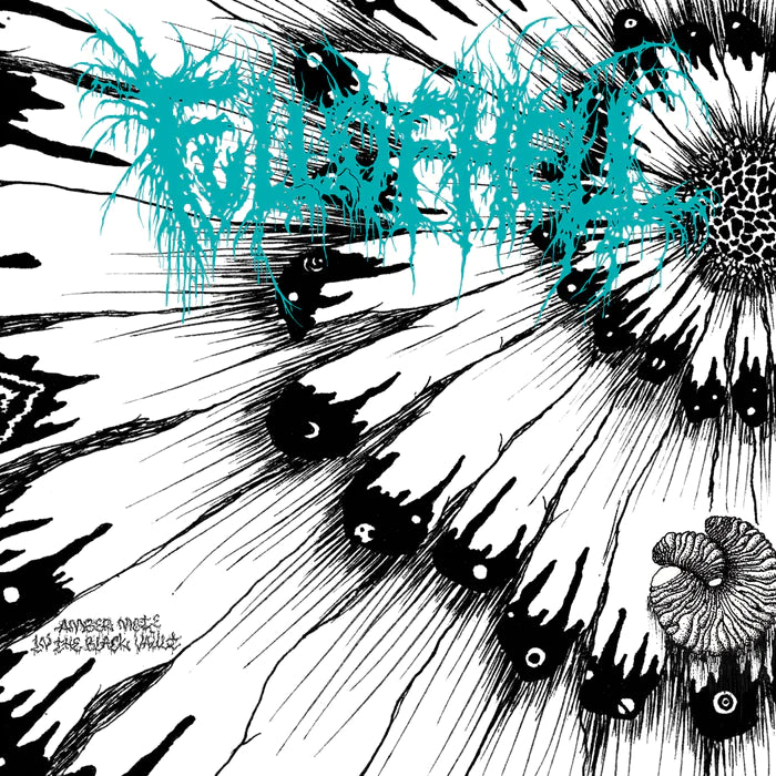 Full Of Hell - Amber Mote In The Black Vault 7"