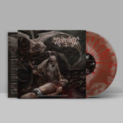 Metaphobic - Deranged Excruciations 12" *PRE-ORDER*