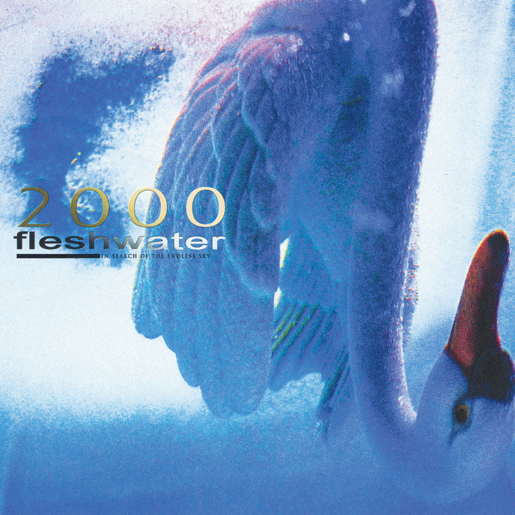 Fleshwater - 2000: In Search Of The Endless 12”