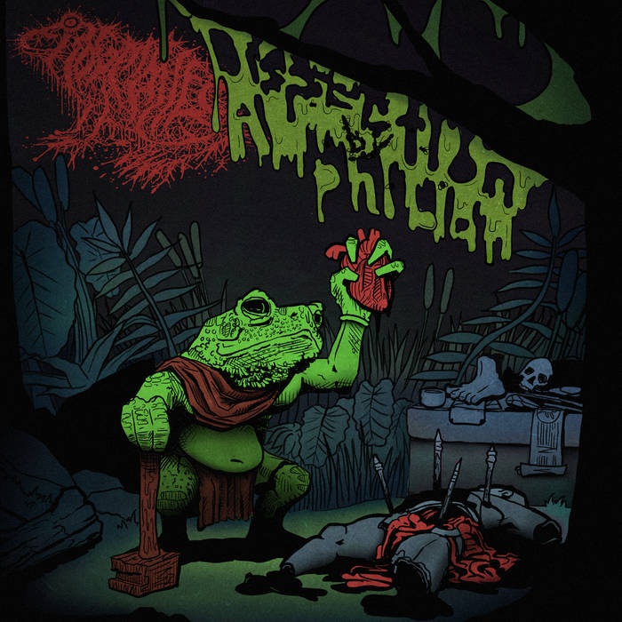 Frog Mallet - Dissection By Amphibian cassette