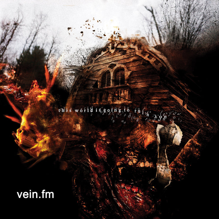 Vein.fm - This World Is Going To Ruin You CD