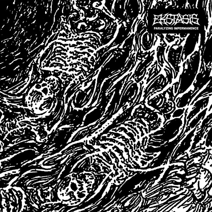 Ekstasis - Paralyzing Impermanence cassette