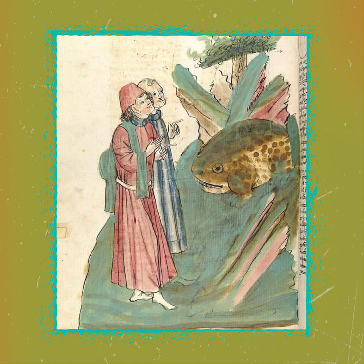 Frog Synth Coven - Frog Synth Coven Volume II cassette