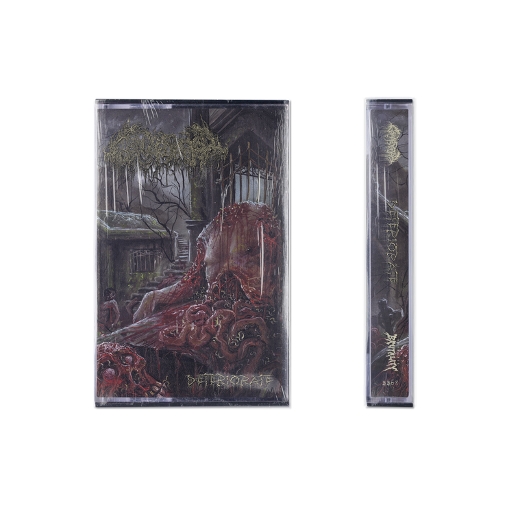 Gamma Sector - Deteriorate cassette *PRE-ORDER*