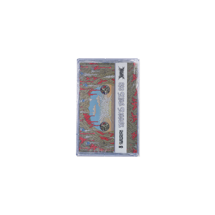 Disfiguring The Goddess - Big Slime Summer cassette