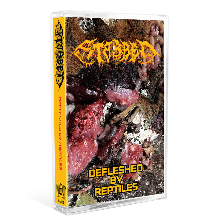 Stabbed - Defleshed By Reptiles cassette
