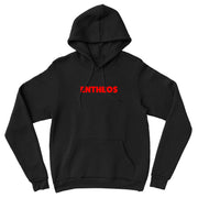 Entheos - Remember You Are Dust pullover hoodie