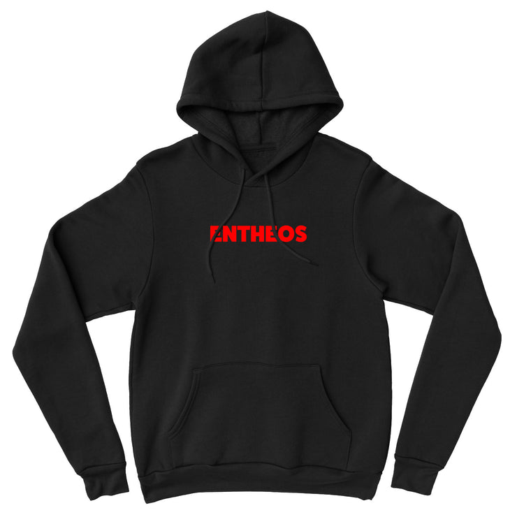 Entheos - Remember You Are Dust pullover hoodie