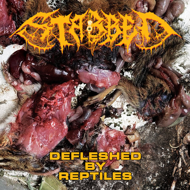 Stabbed - Defleshed By Reptiles cassette