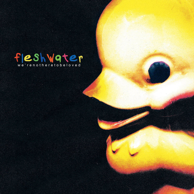 Fleshwater - We're Not Here To Be Loved CD