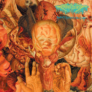 FesterDecay - Reality Rotten To The Core CD