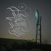 Wear Your Wounds - WYW 2x12"